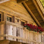 Chalet Wellnesshuettendorf Wiese