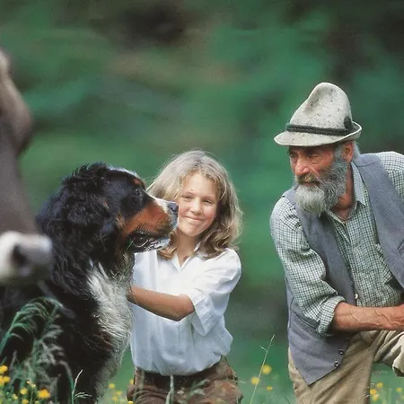 Wellnesshuettendorf Wiese *