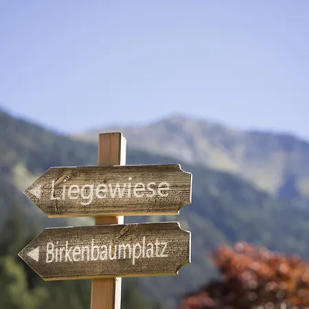 木屋 Wellnesshuettendorf Wiese